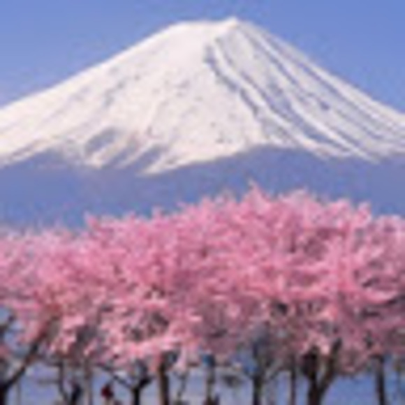 Meet your Posher, Joscelyn - Picture 1 of 1